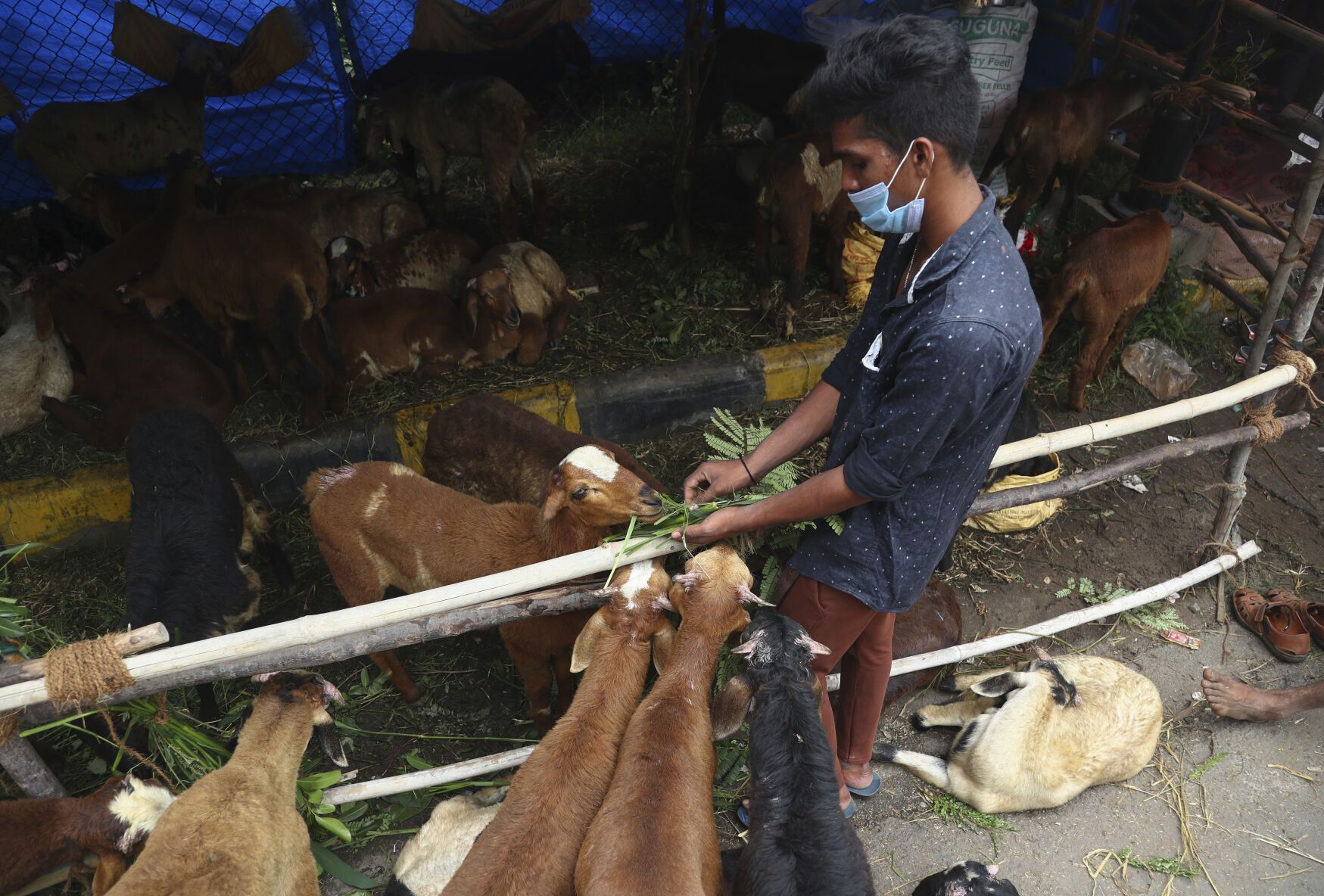 India Eid